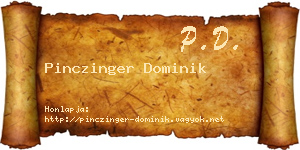 Pinczinger Dominik névjegykártya